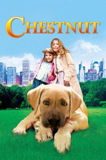Chestnut: El héroe de Central Park