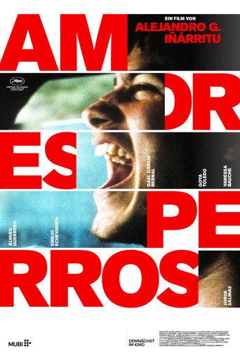 Amores Perros