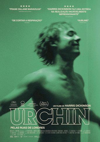 Urchin