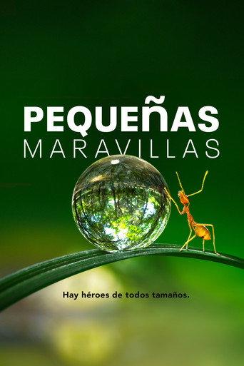 Pequeñas maravillas