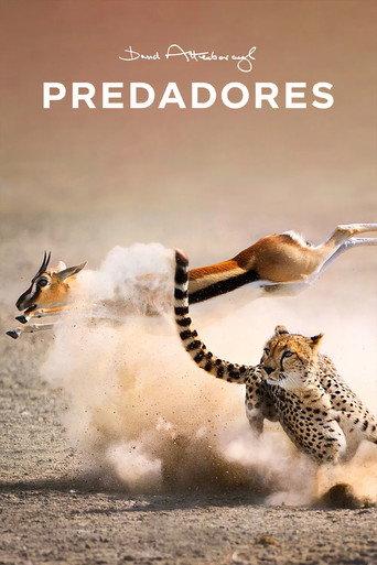 Predadores