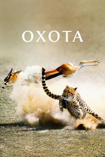 The Hunt