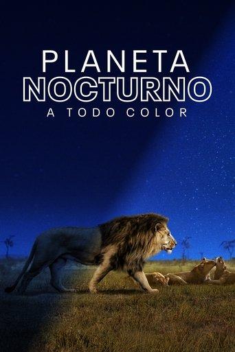 Planeta nocturno: A todo color