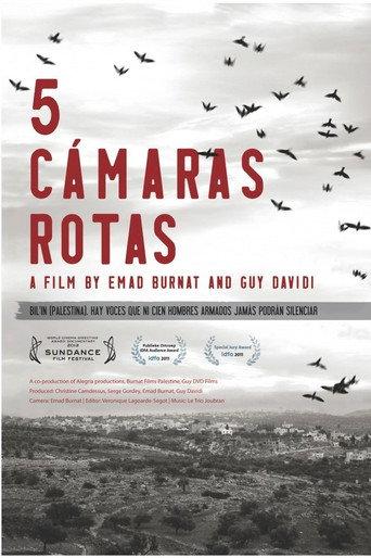 5 cámaras rotas