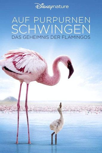 Auf purpurnen Schwingen: Das Geheimnis der Flamingos