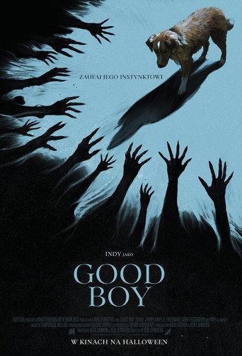 Good boy