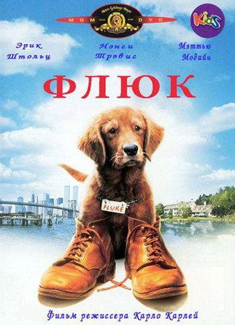 Флюк