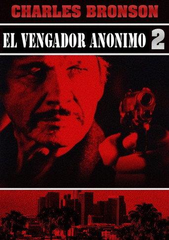 El vengador anónimo 2
