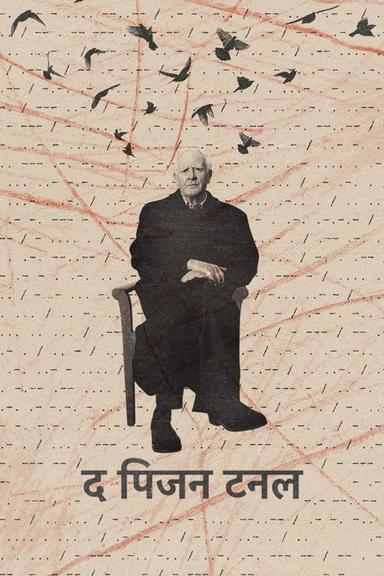 द पिजन टनल