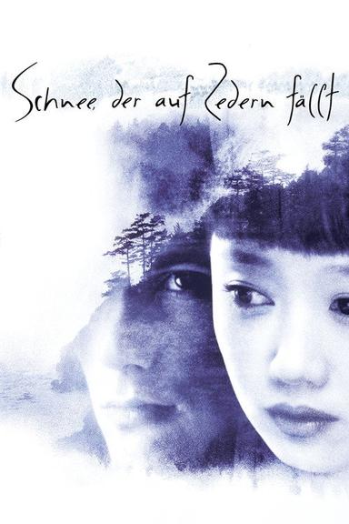Schnee, der auf Zedern fällt