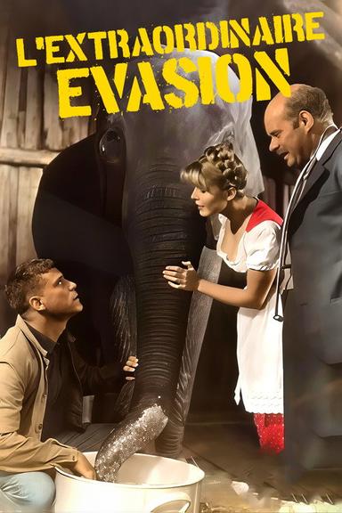 L'extraordinaire évasion