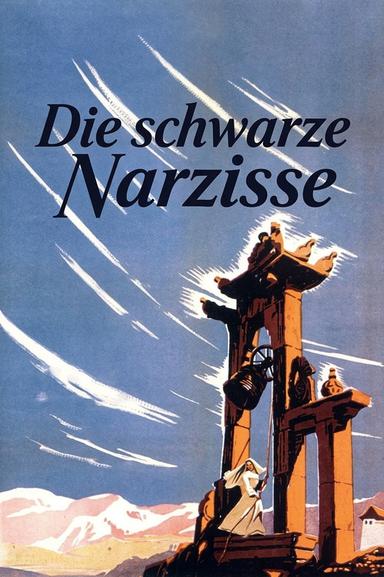 Die schwarze Narzisse