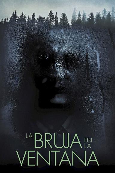 The Witch in the Window