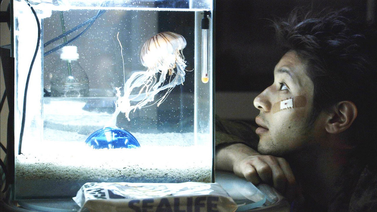 Jellyfish