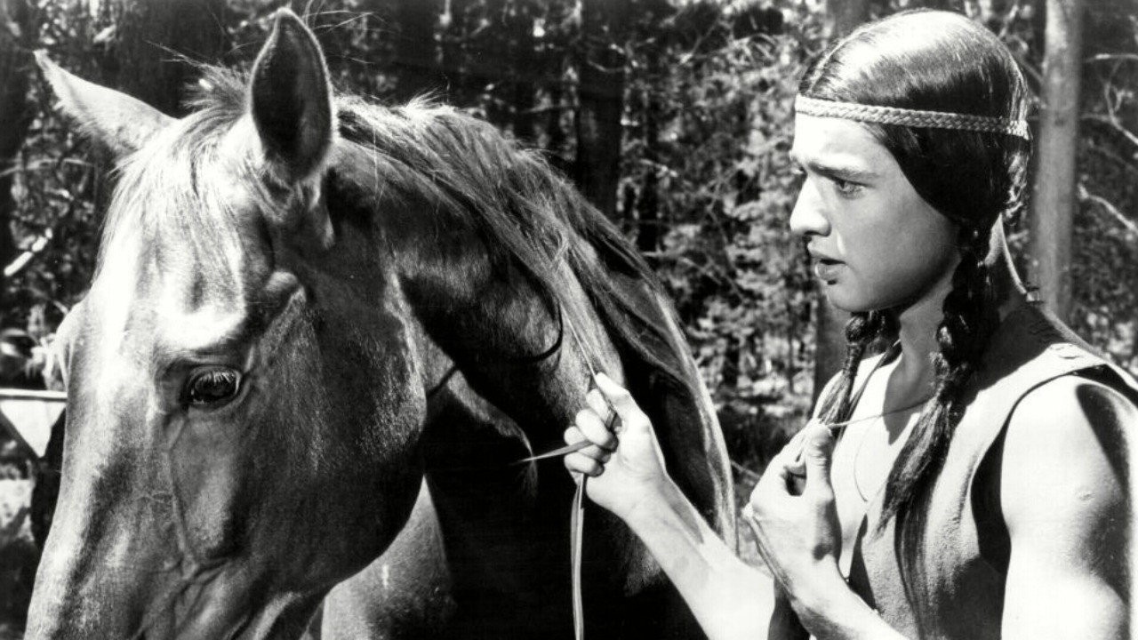 Tonka, cheval sauvage