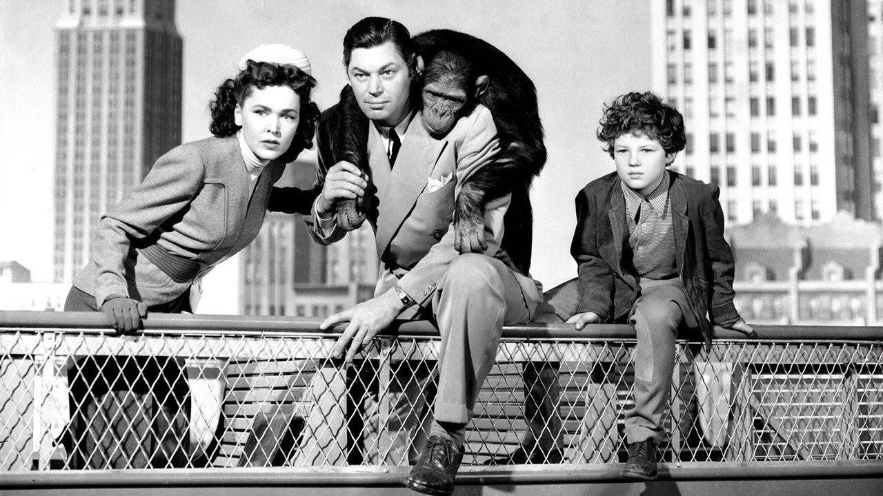 Tarzan's New York Adventure