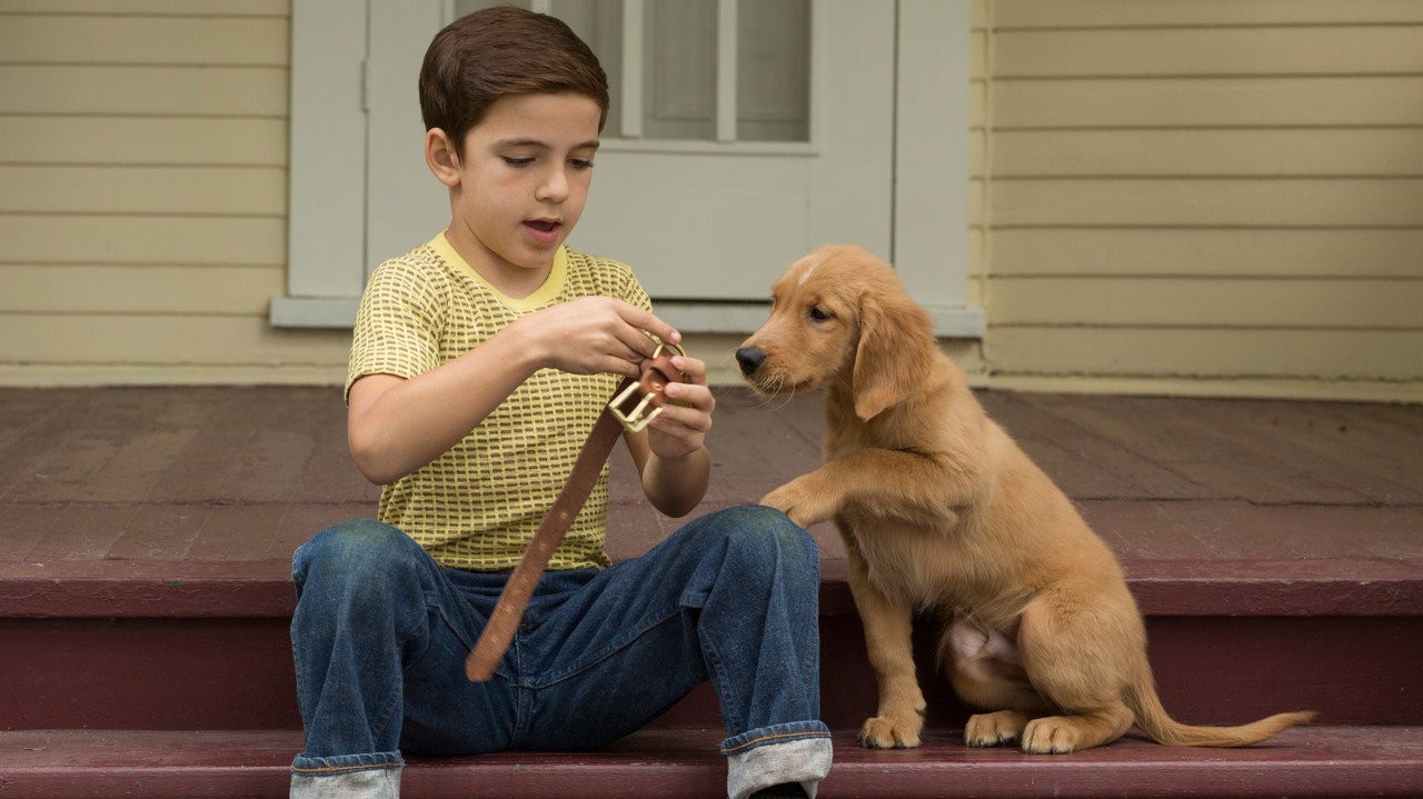 A Dog's Purpose