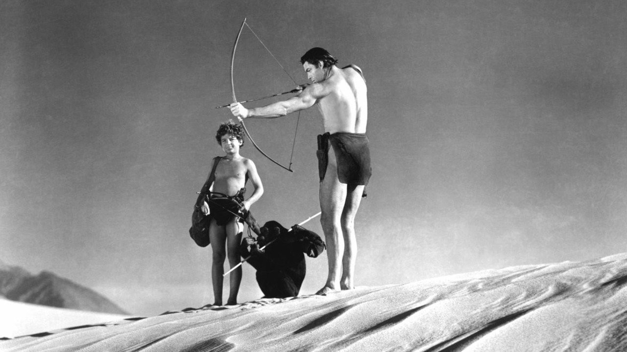 Tarzan's Desert Mystery