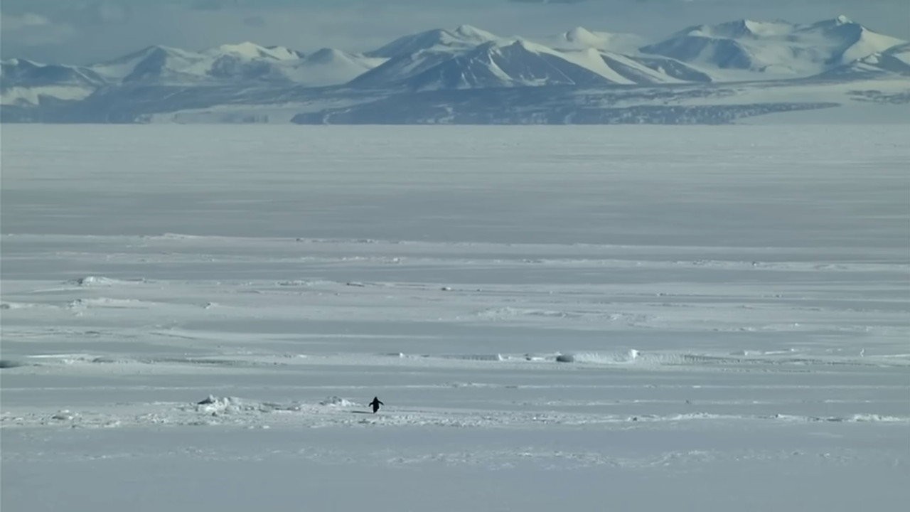Encounters at the End of the World