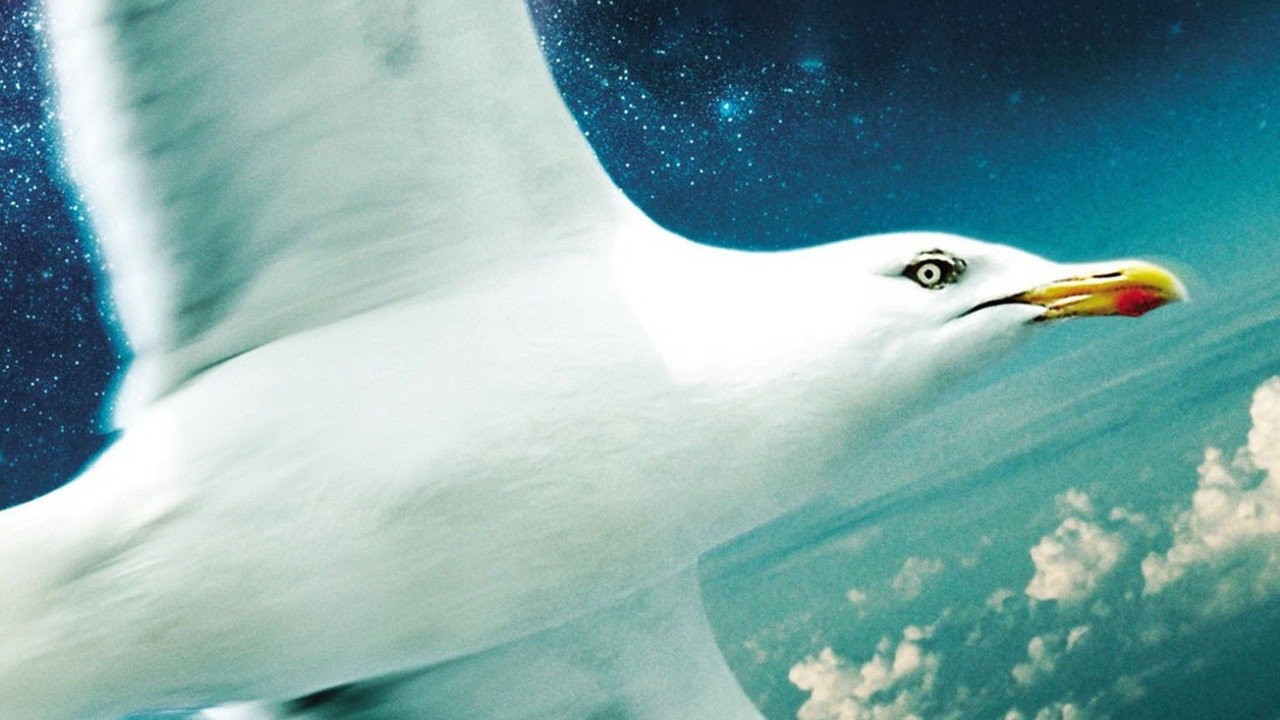 Jonathan Livingston Seagull
