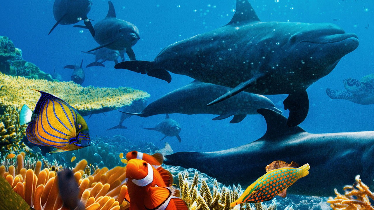 Ocean with David Attenborough