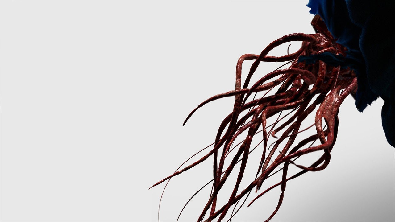 Connect
