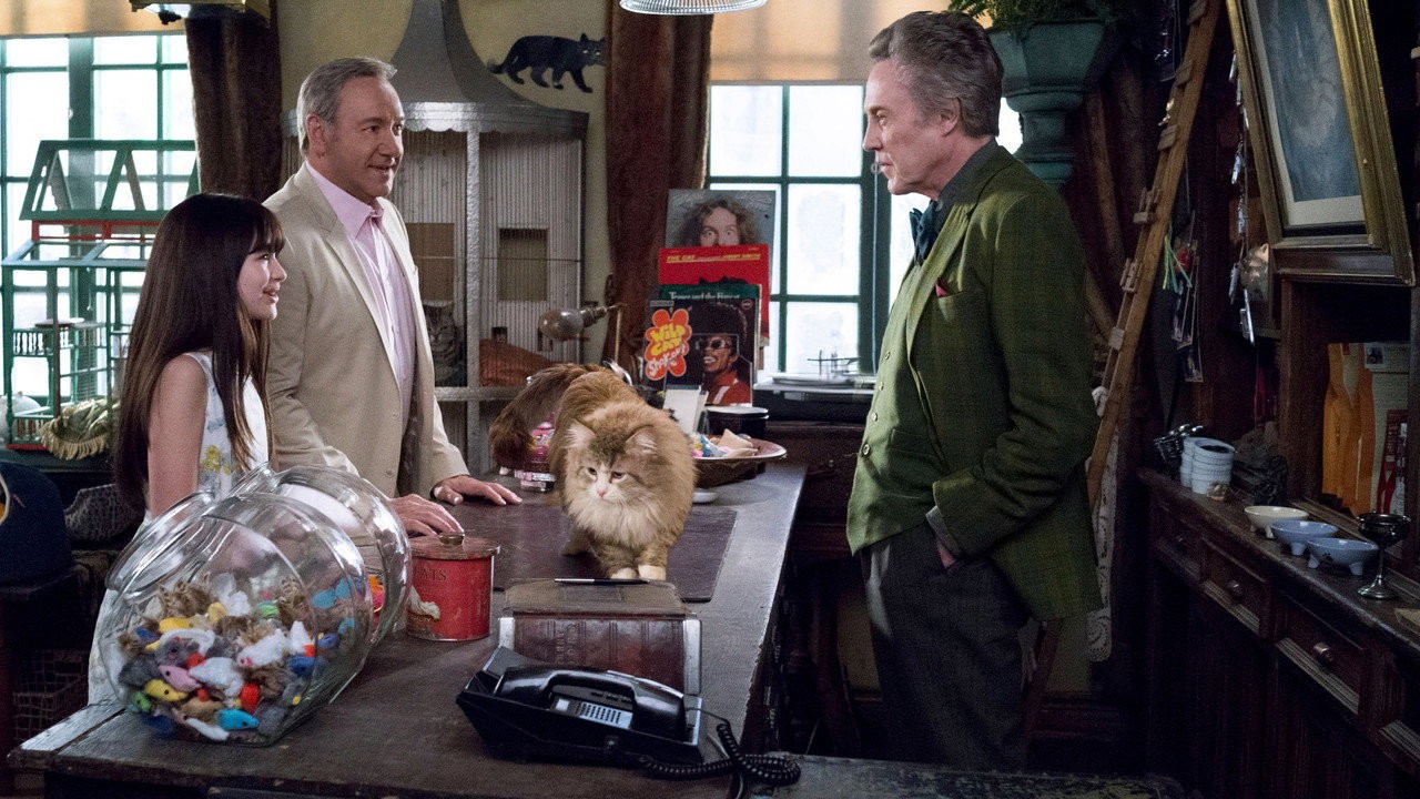 Nine Lives