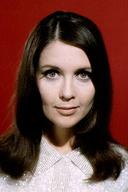 Anjanette Comer