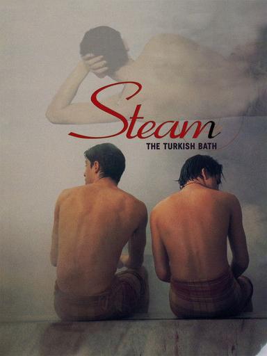 Steam: The Turkish Bath