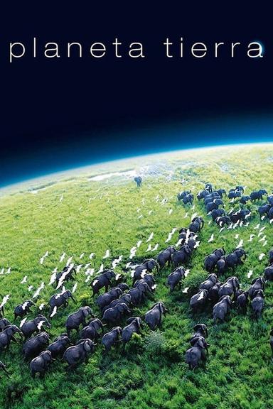 Planeta Tierra