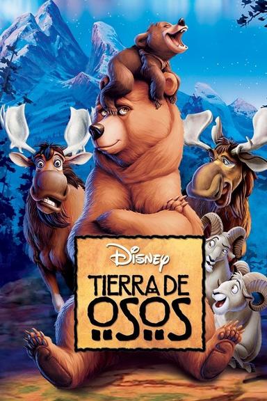 Tierra de Osos