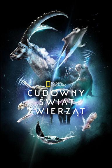 Cudowny świat zwierząt