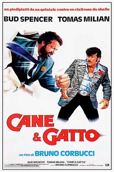 Cane e gatto
